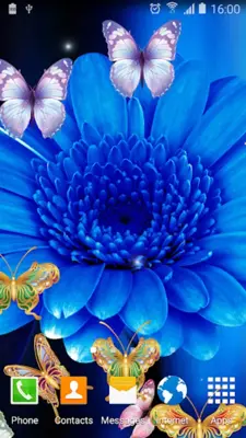 Cute Butterfly Live Wallpaper android App screenshot 5